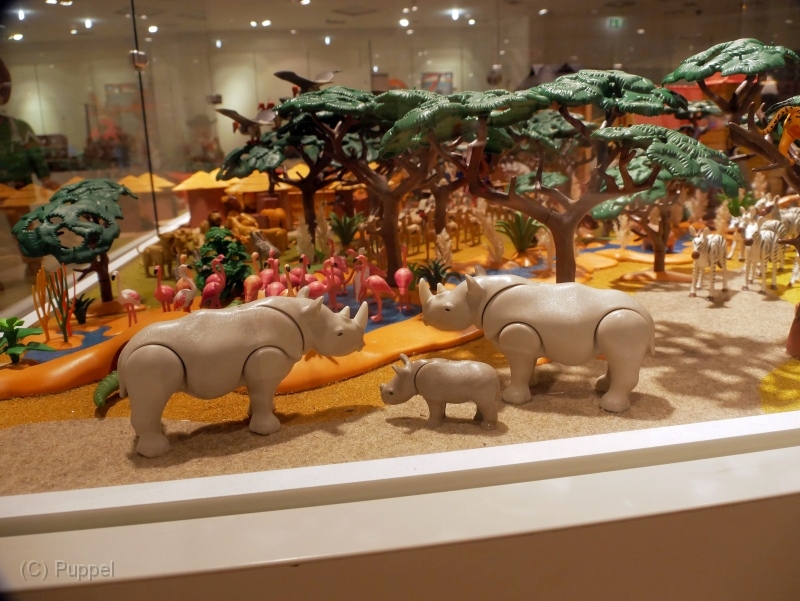 T160 afrika-P2590441.JPG